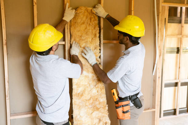 Best Insulation Repair Services  in Addison, IL